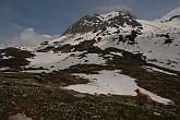 09 03803 Verso le Casere de Eder (Casere di Val Vedra)